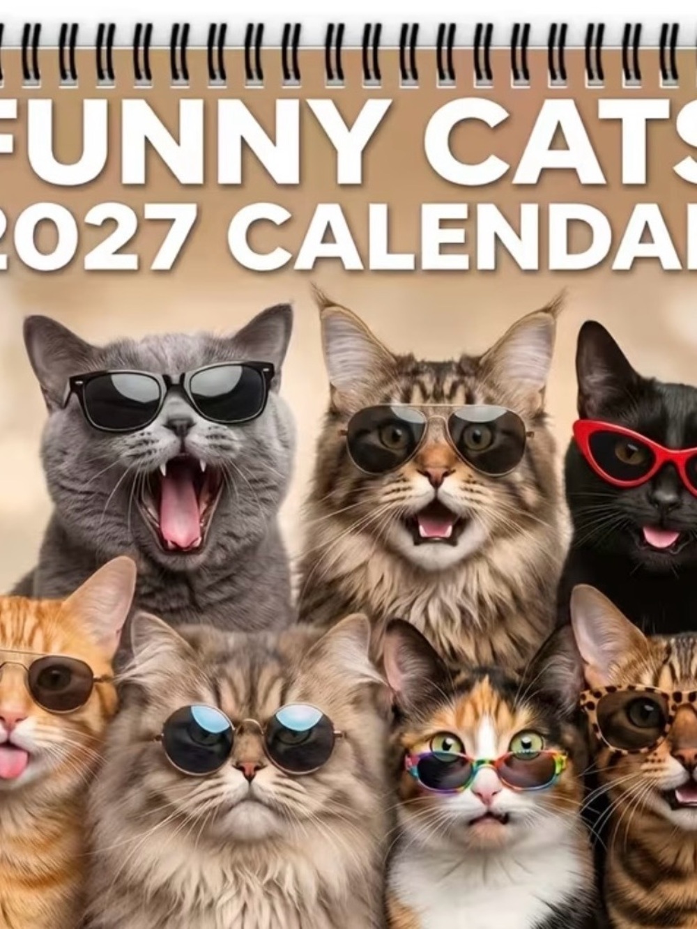 Funny Cats 2027 Calendar